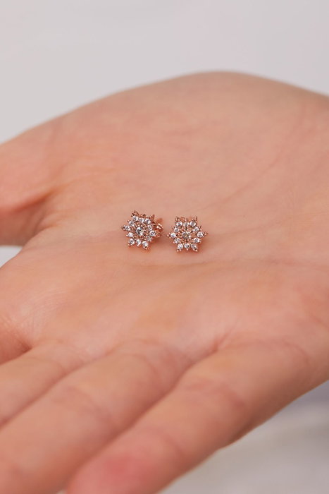 Heliophilia Silver Pendientes de Plata de Ley 925 en Rosa ELKAB92275R Heliophilia Silver Pendientes de Plata de Ley 925 en Rosa ELKAB92275R
